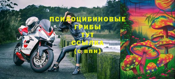 индика Краснослободск