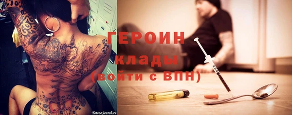 индика Краснослободск