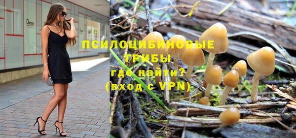 МДПВ Красноперекопск