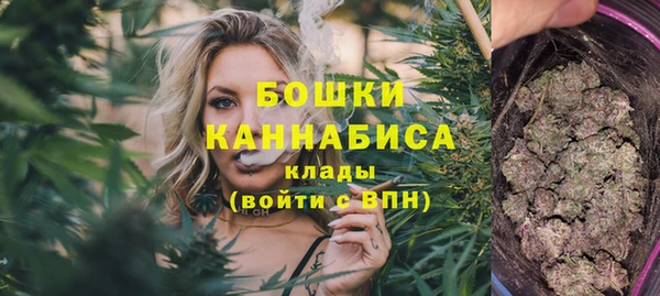 амф Карпинск