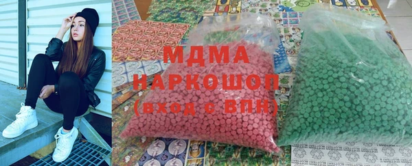 индика Краснослободск