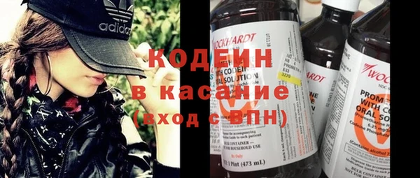 индика Краснослободск
