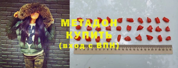 индика Краснослободск