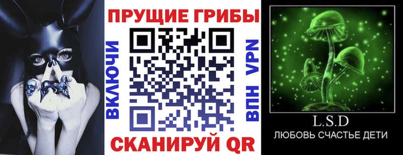 Купить где  Верхотурье  Псилоцибиновые грибы Cubensis 